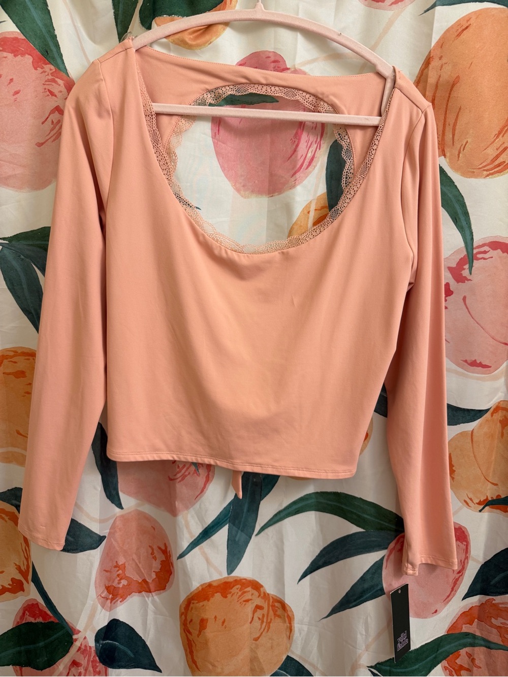 Wild Fable Peach Open Back Long Sleeve Top NWT XXL